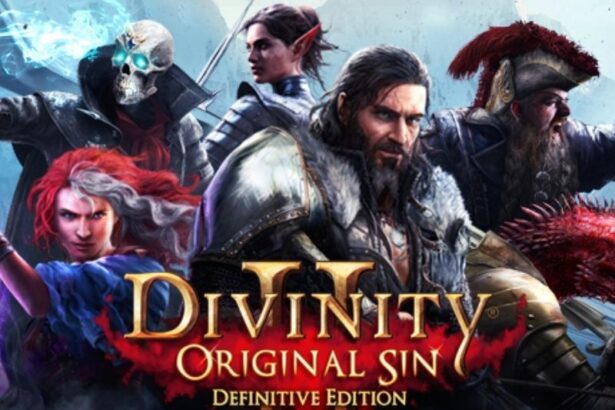 game-divinity-original-sin-2